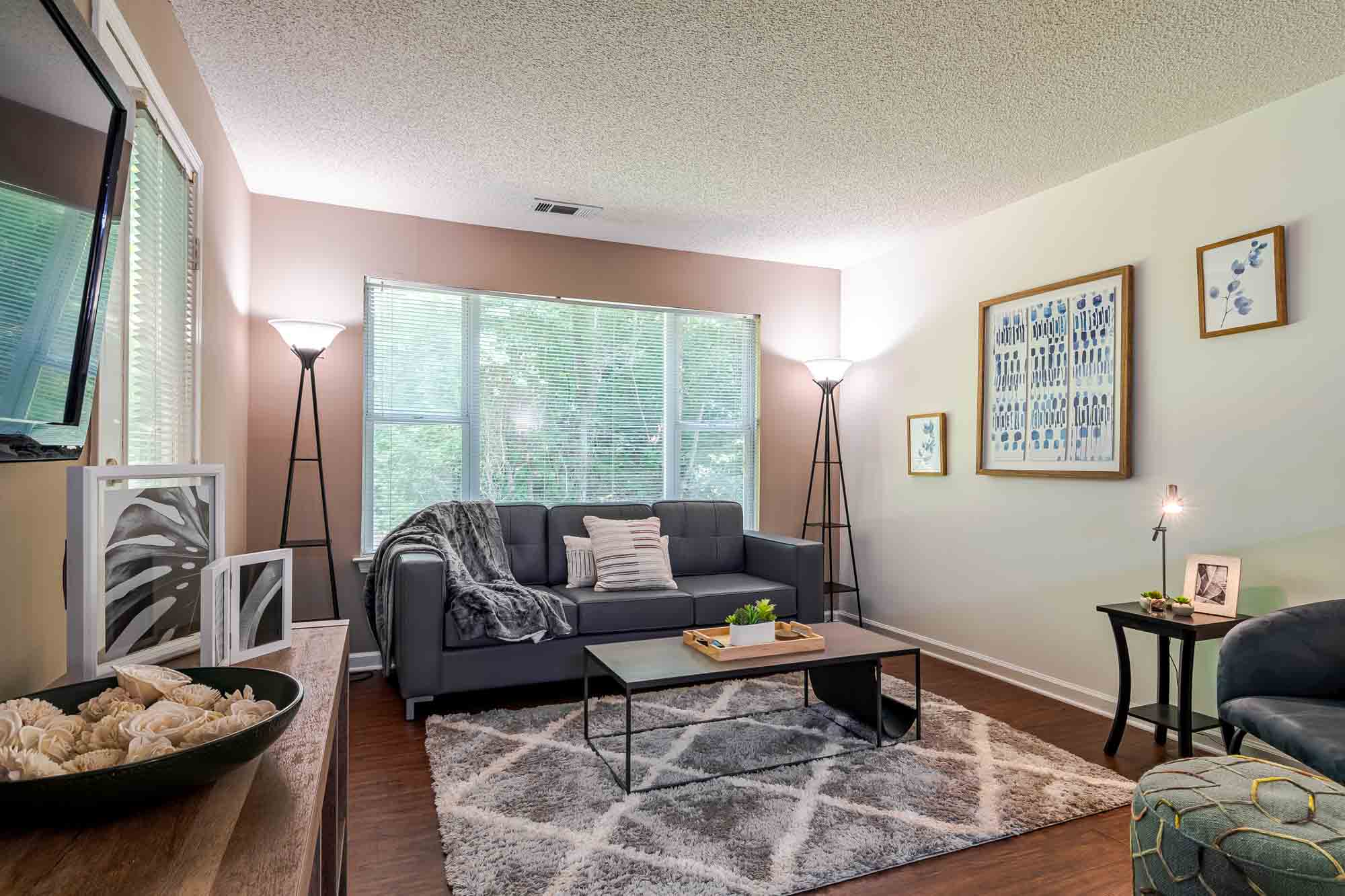 River-Club-Apartments-Near-University-of-Georgia-Living-Room